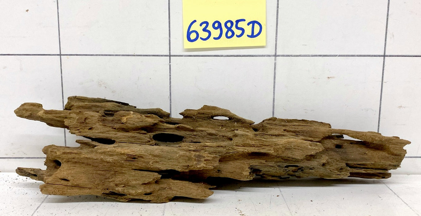 63985D - Drachenholz / Dragonwood