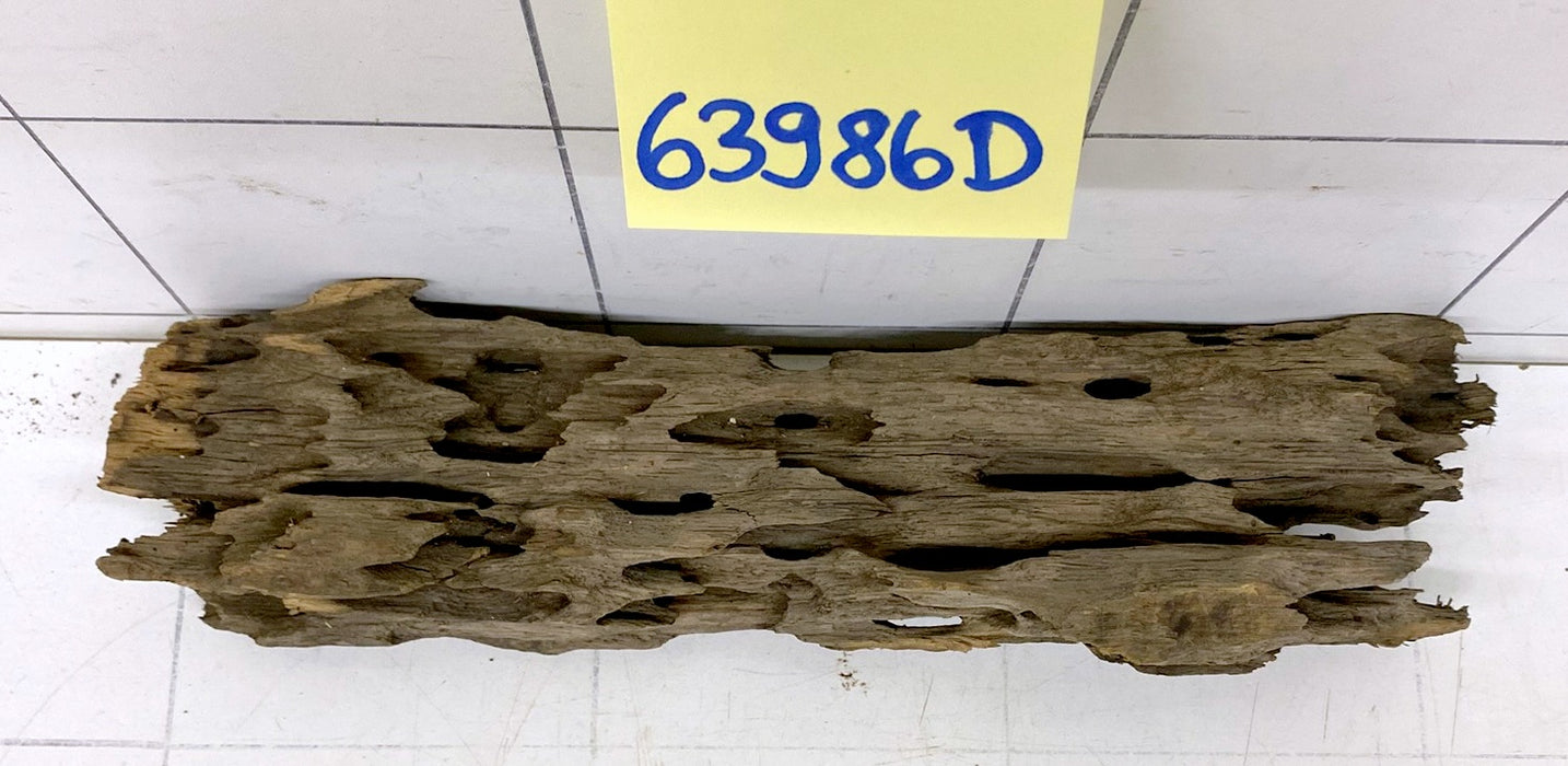 63986D - Drachenholz / Dragonwood