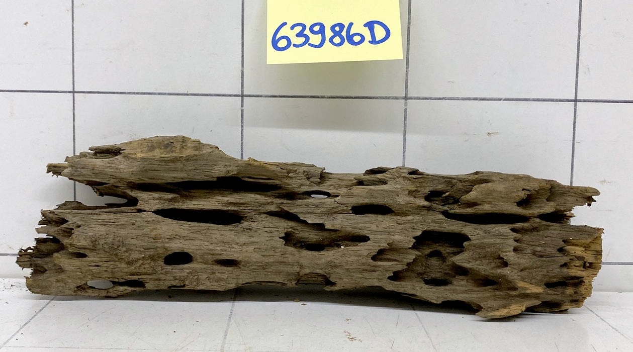 63986D - Drachenholz / Dragonwood