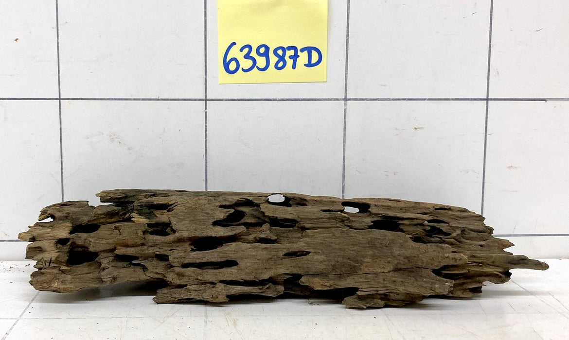 63987D - Drachenholz / Dragonwood