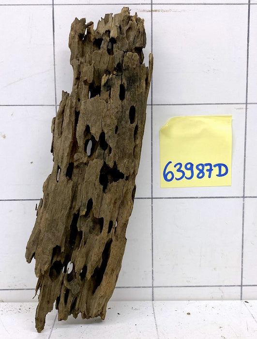 63987D - Drachenholz / Dragonwood