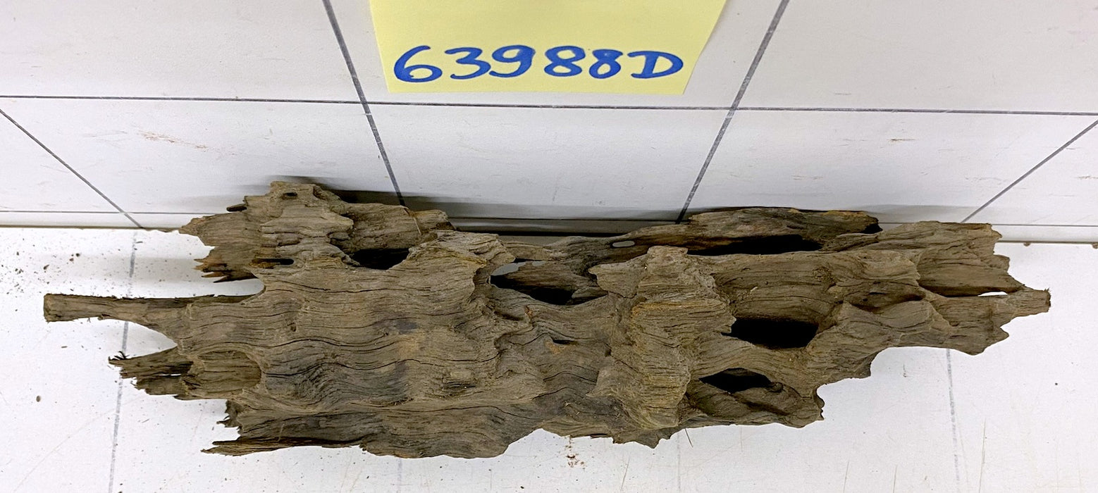 63988D - Drachenholz / Dragonwood