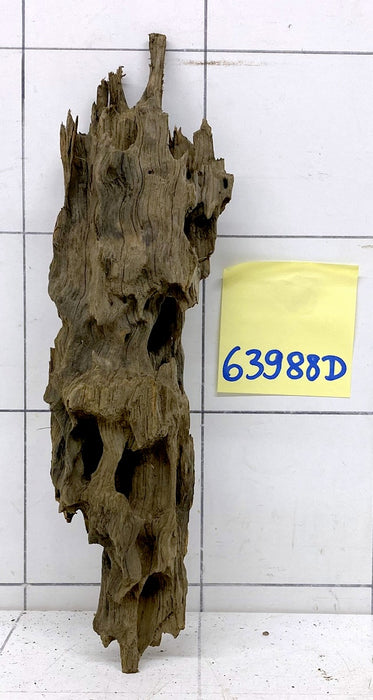 63988D - Drachenholz / Dragonwood