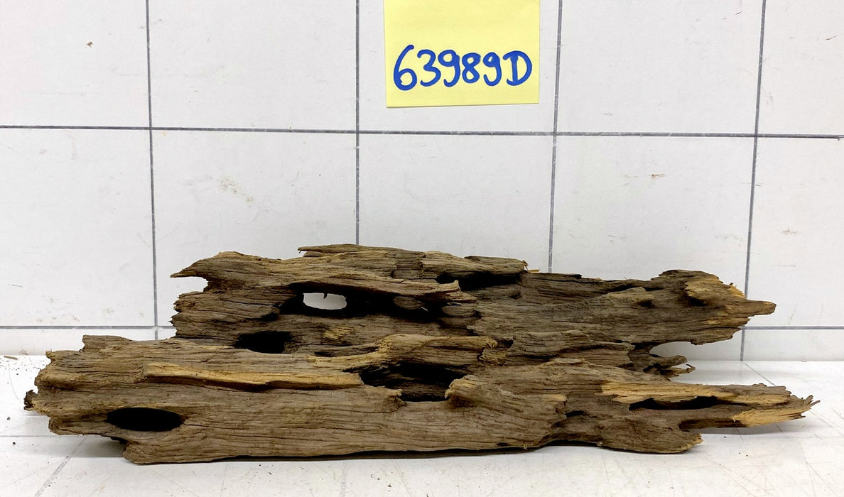 63989D - Drachenholz / Dragonwood