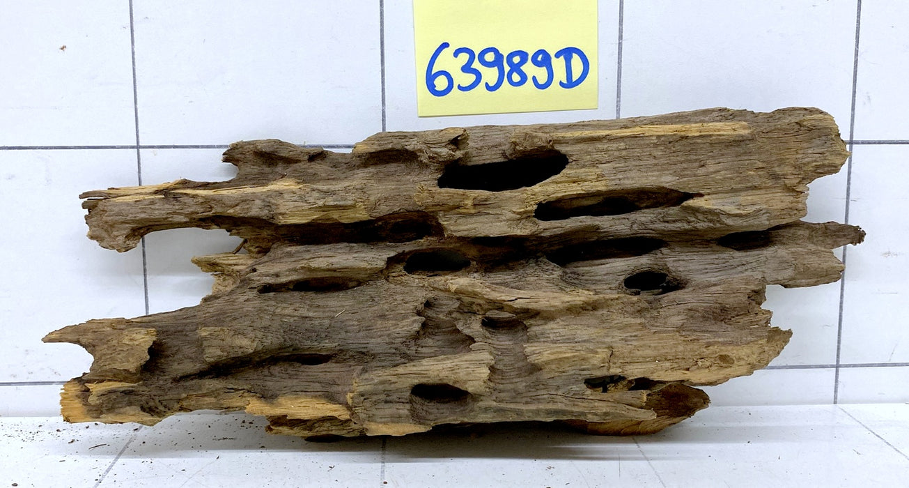 63989D - Drachenholz / Dragonwood