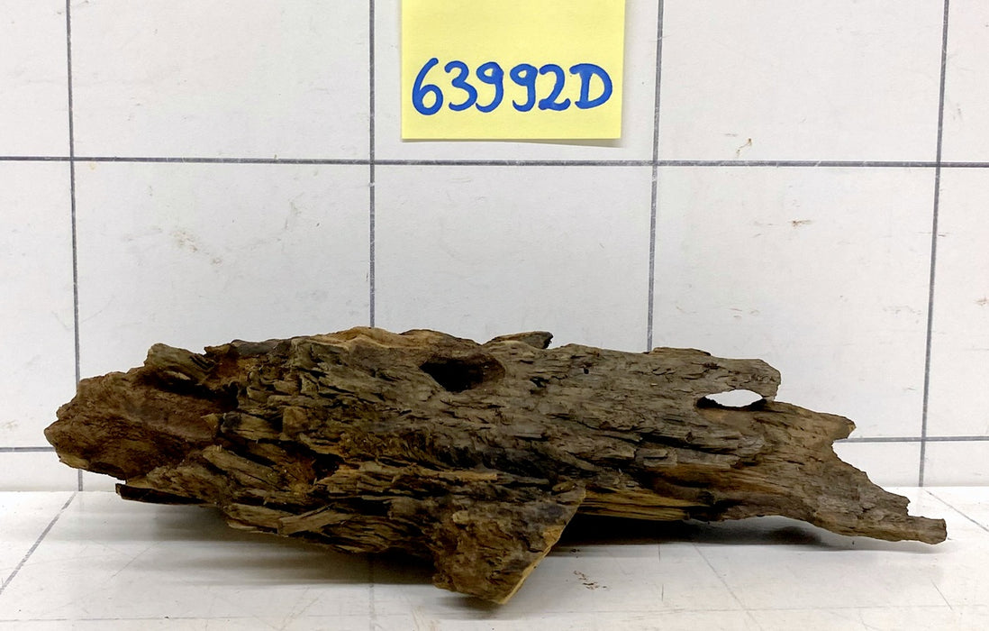 63992D - Drachenholz / Dragonwood