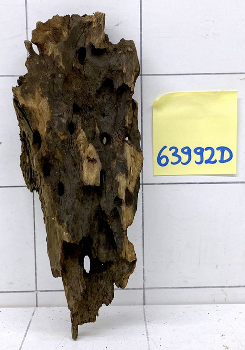 63992D - Drachenholz / Dragonwood