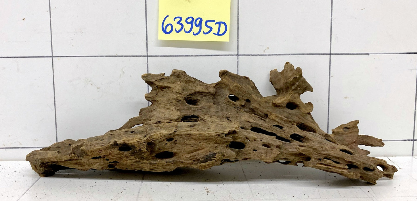 63995D - Drachenholz / Dragonwood