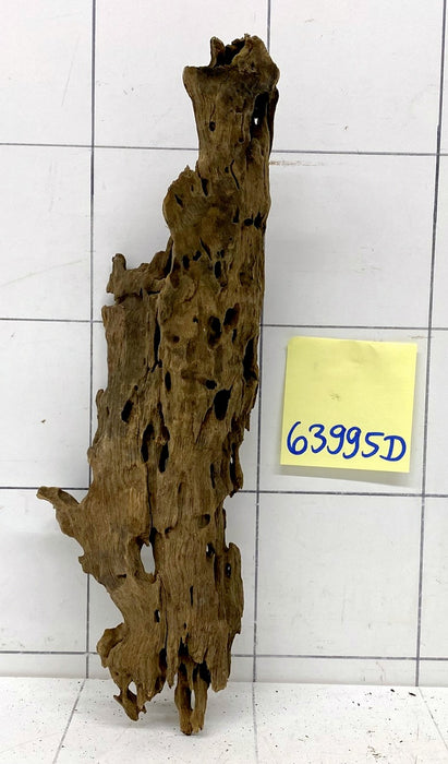 63995D - Drachenholz / Dragonwood