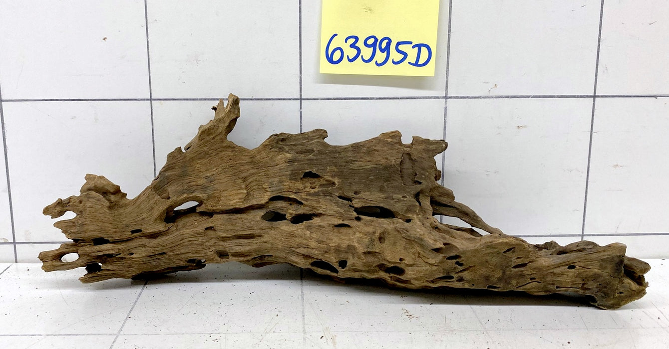 63995D - Drachenholz / Dragonwood