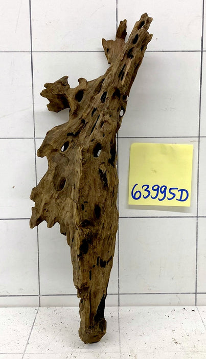 63995D - Drachenholz / Dragonwood