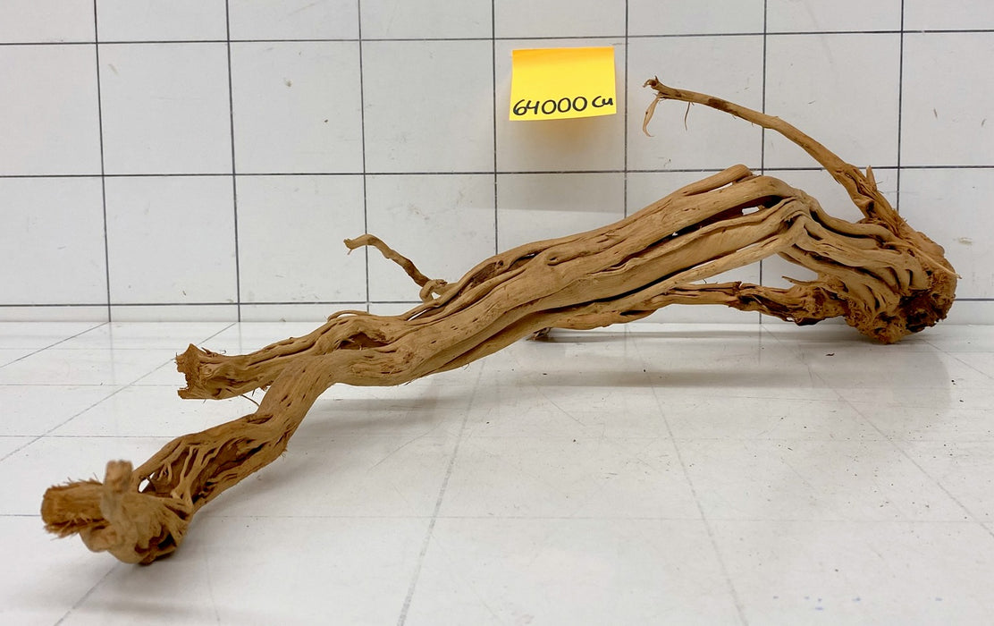 64000Cu - Curlwood Wurzel Holz