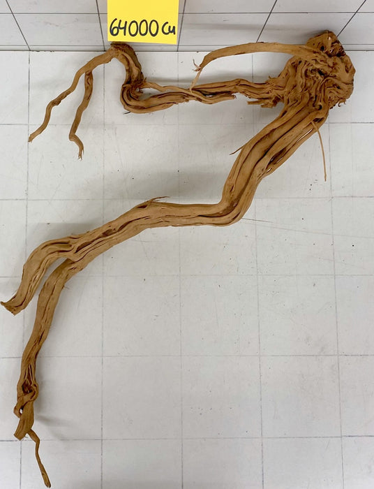 64000Cu - Curlwood Wurzel Holz