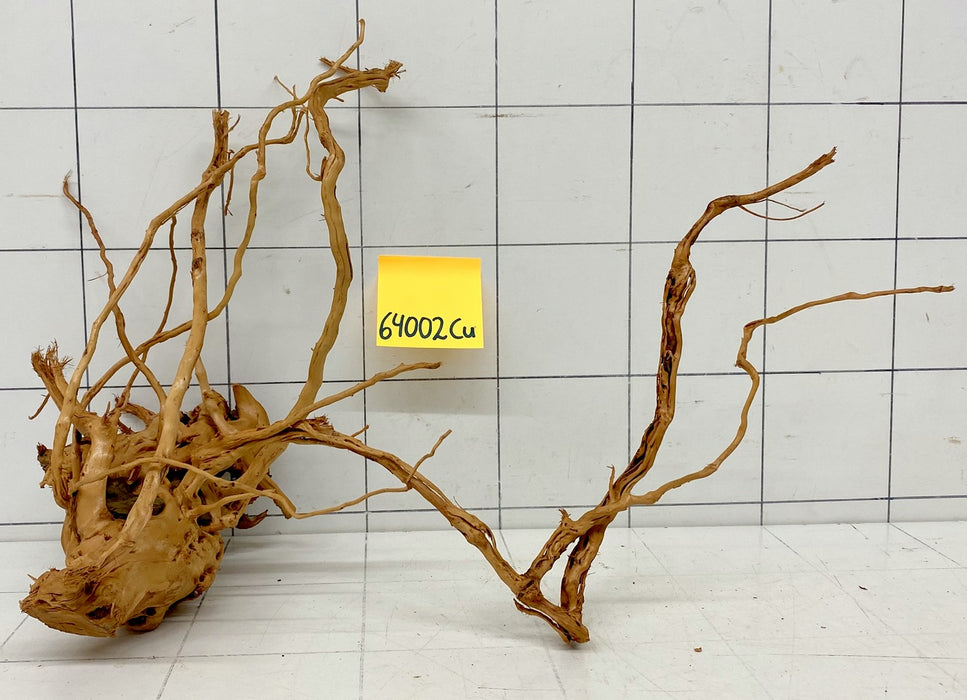 64002Cu - Curlwood Wurzel Holz
