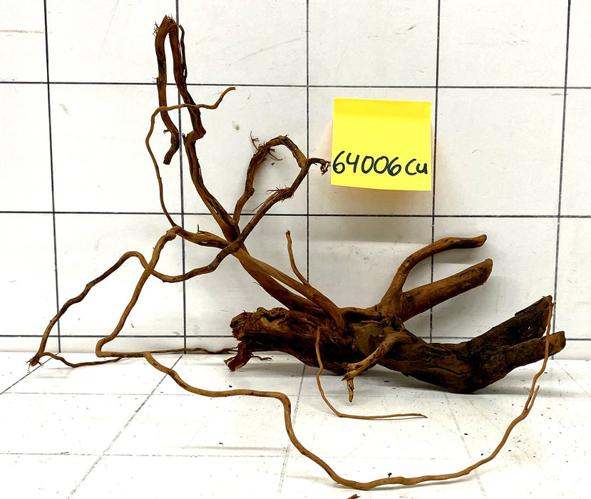 64006Cu - Curlwood Wurzel Holz