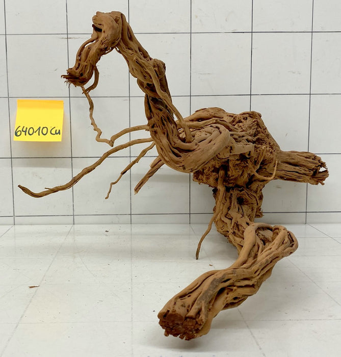 64010Cu - Curlwood Wurzel Holz
