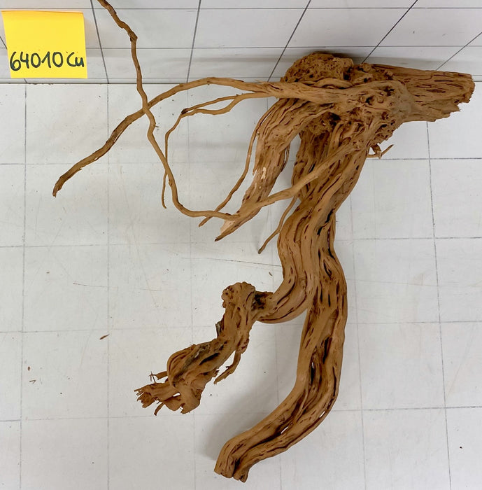 64010Cu - Curlwood Wurzel Holz