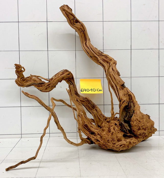 64010Cu - Curlwood Wurzel Holz