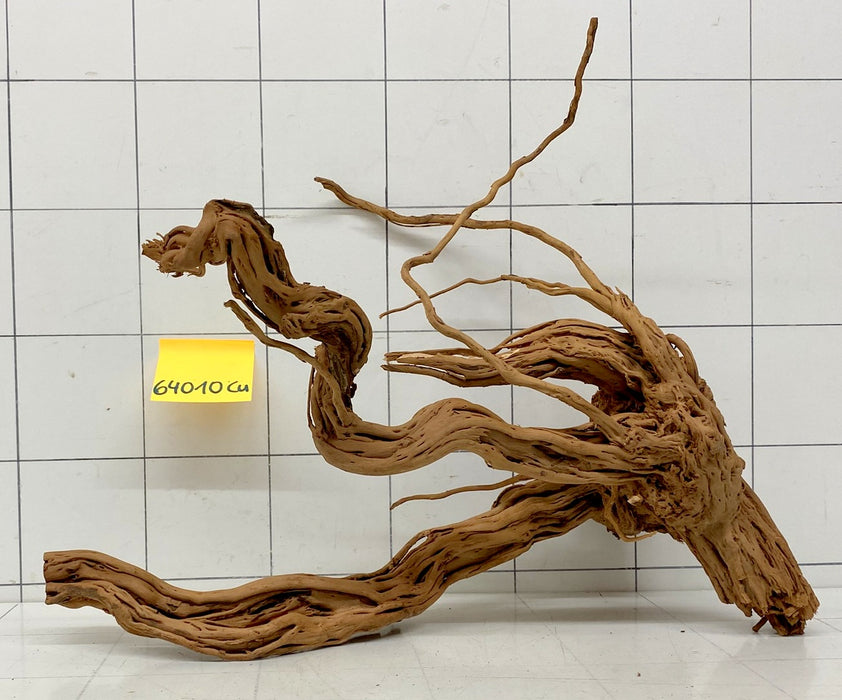 64010Cu - Curlwood Wurzel Holz