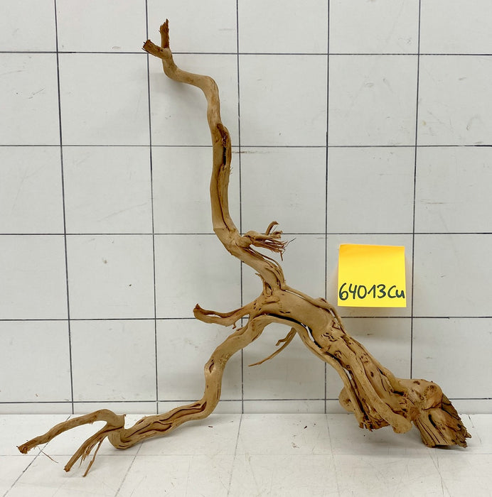 64013Cu - Curlwood Wurzel Holz