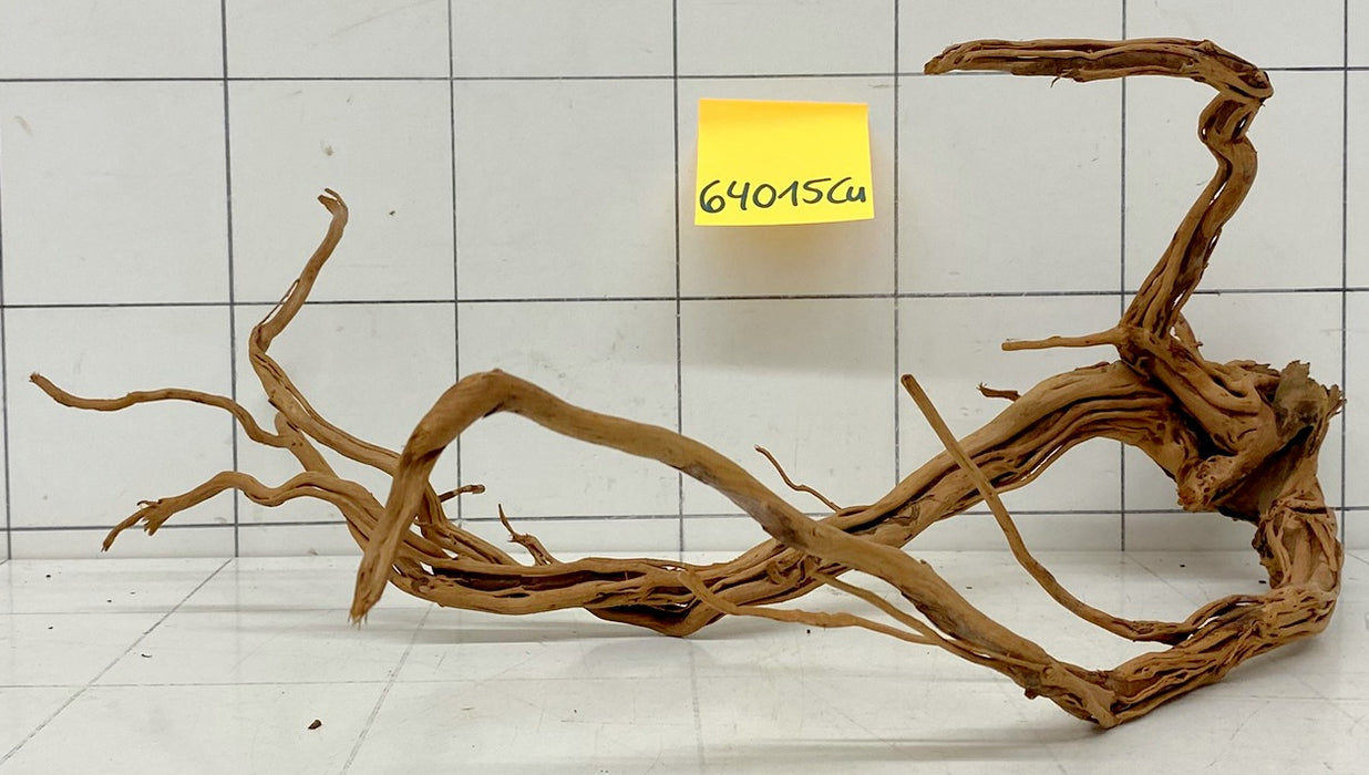 64015Cu - Curlwood Wurzel Holz