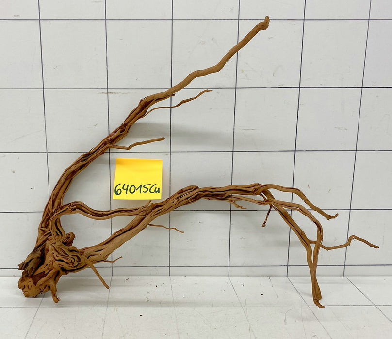 64015Cu - Curlwood Wurzel Holz