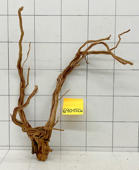 64015Cu - Curlwood Wurzel Holz
