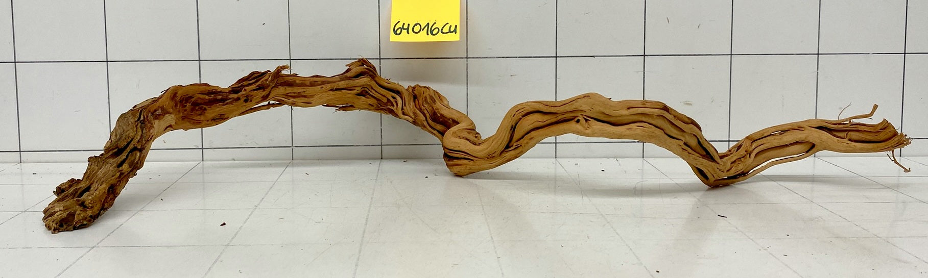 64016Cu - Curlwood Wurzel Holz