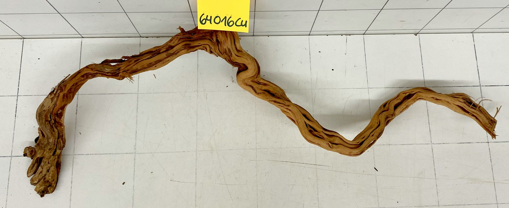 64016Cu - Curlwood Wurzel Holz