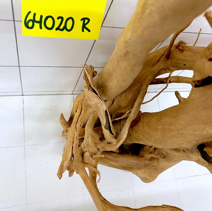 64020R Fingerwood / Rote Moorwurzel Holz