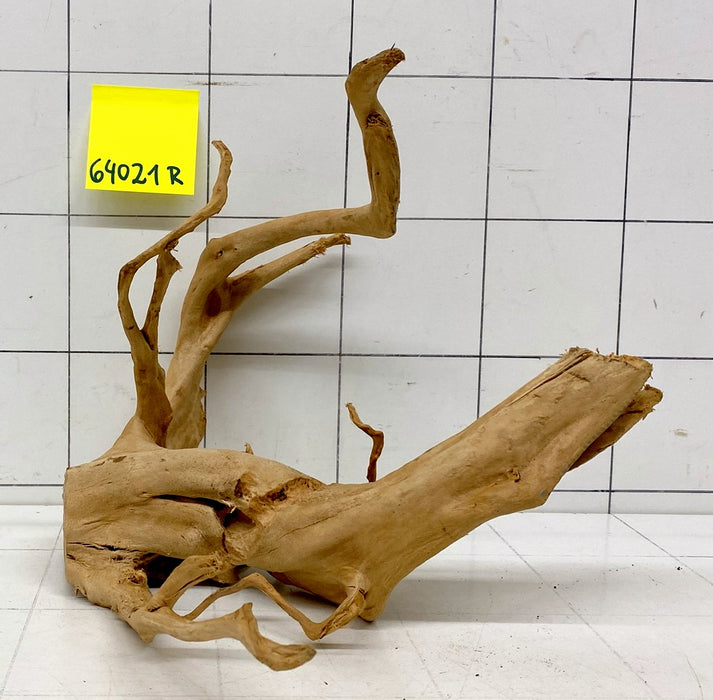 64021R Fingerwood / Rote Moorwurzel Holz