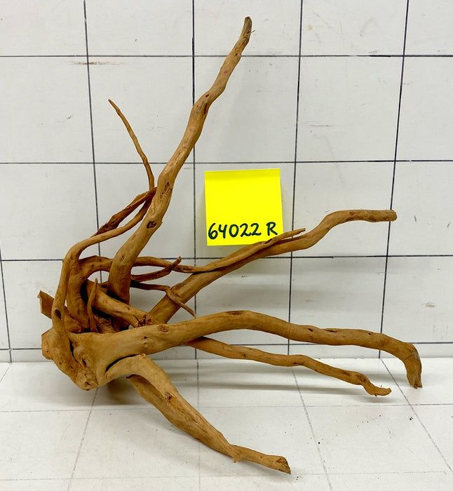 64022R Fingerwood / Rote Moorwurzel Holz