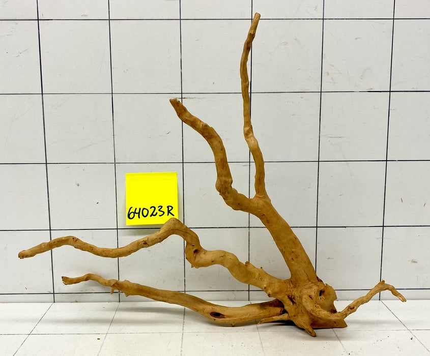 64023R Fingerwood / Rote Moorwurzel Holz