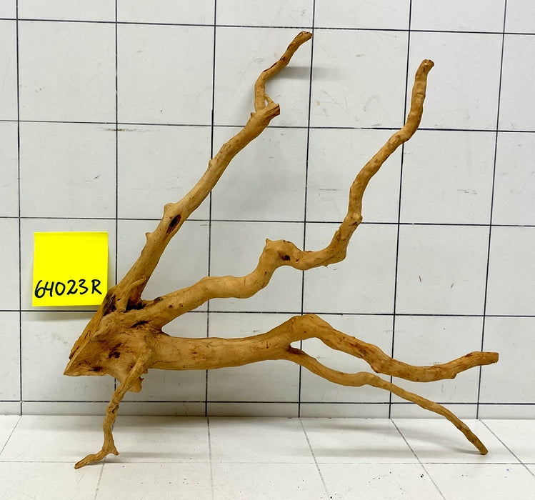 64023R Fingerwood / Rote Moorwurzel Holz