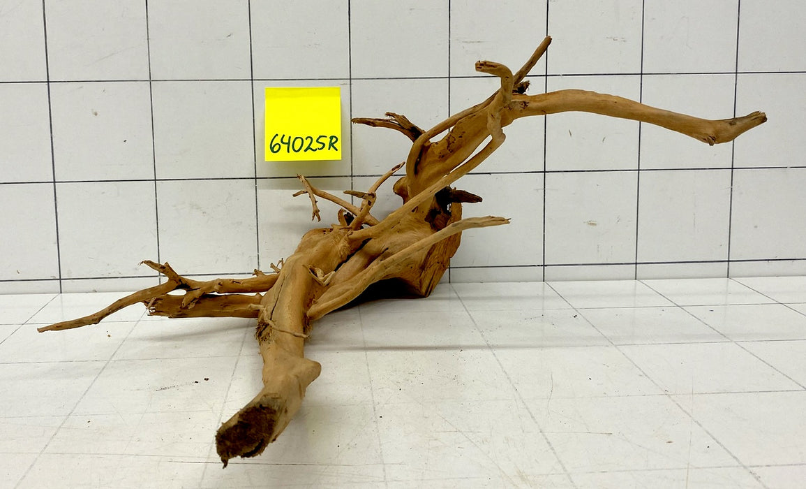 64025R Fingerwood / Rote Moorwurzel Holz