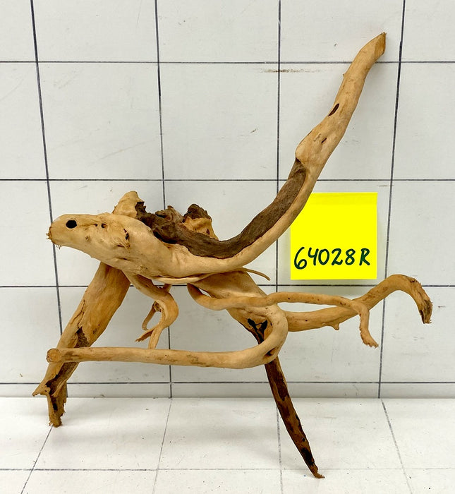 64028R Fingerwood / Rote Moorwurzel Holz