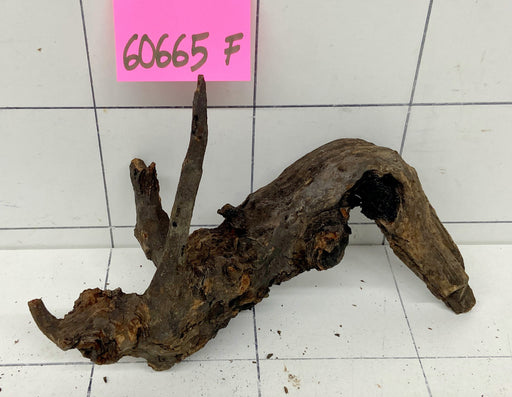 60665F Flussholz / Driftwood / Flusswurzel