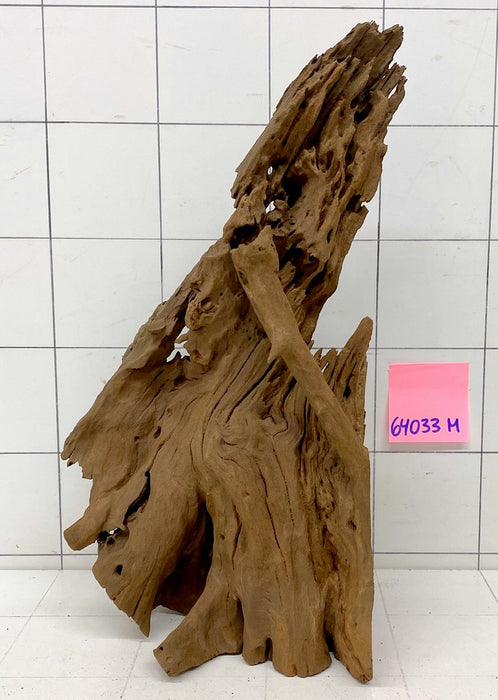 64033M - Mangrovenwurzel Holz