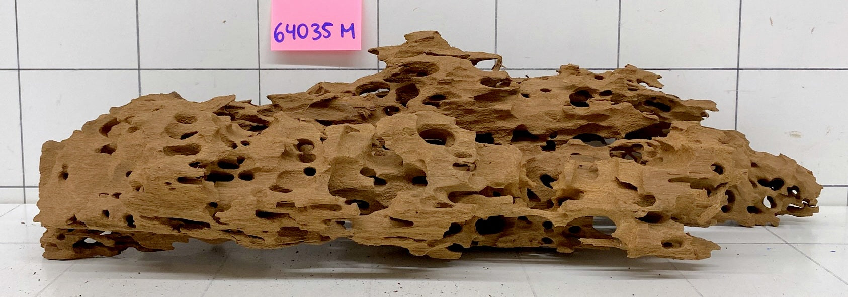 64035M - Mangrovenwurzel Holz