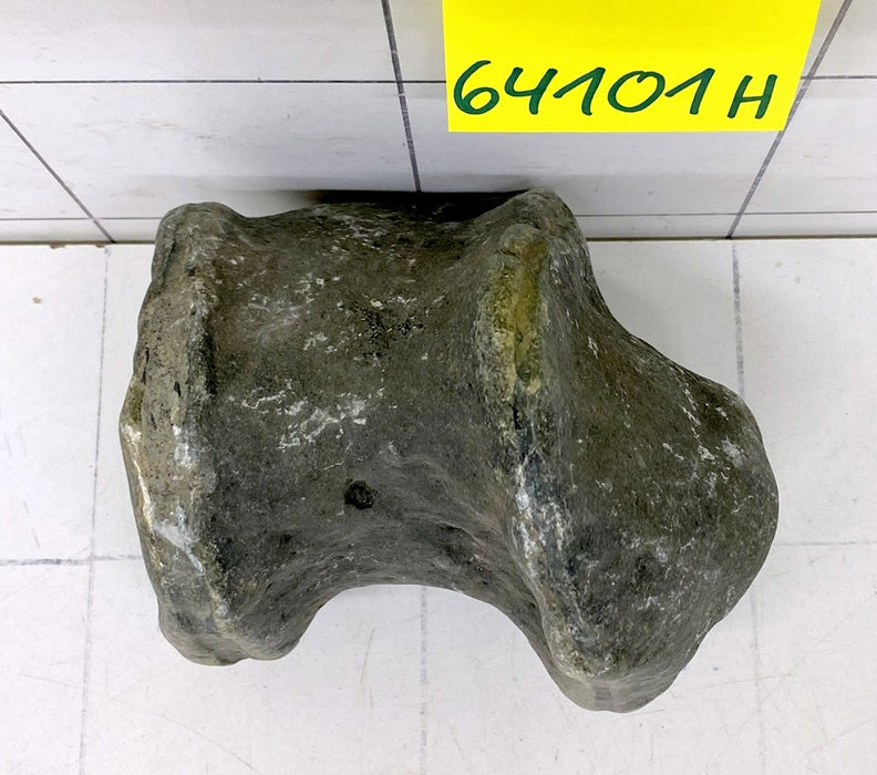 64101H Hakkai Stone Flussstein