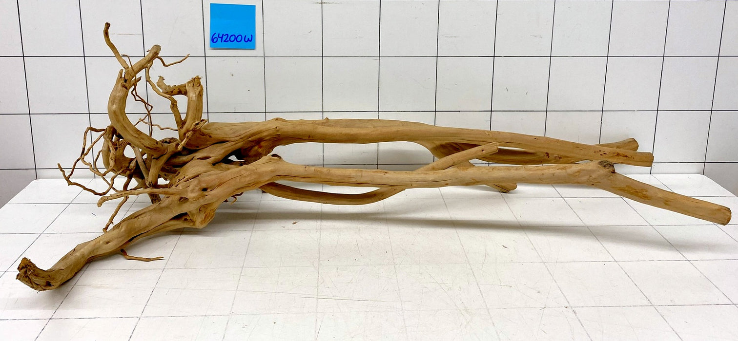 64200W Woodstump Wurzelholz