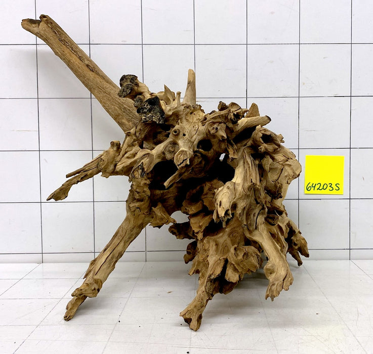 64203S Samoa Wurzel Holz