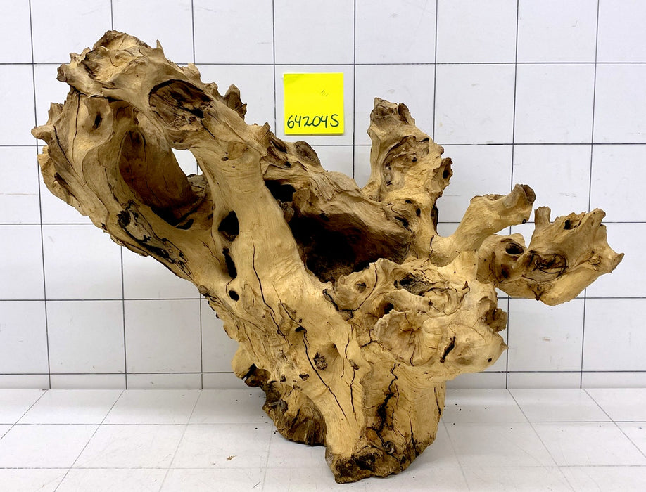 64204S Samoa Wurzel Holz