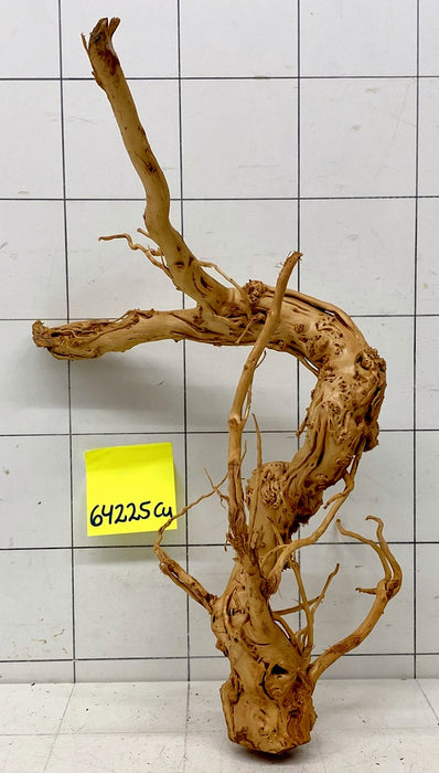 64225Cu - Curlwood Wurzel Holz