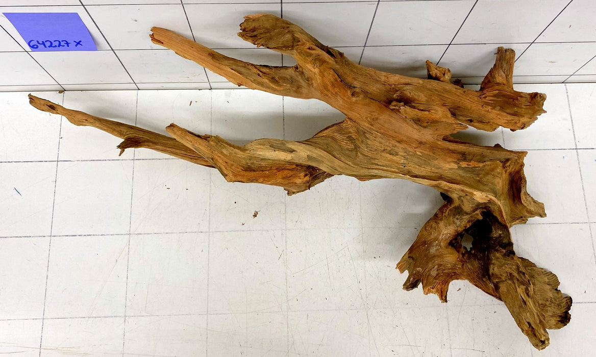 64227X - XINGU Wood Wurzelholz