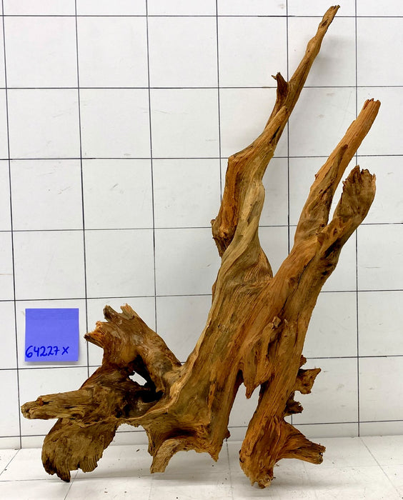 64227X - XINGU Wood Wurzelholz