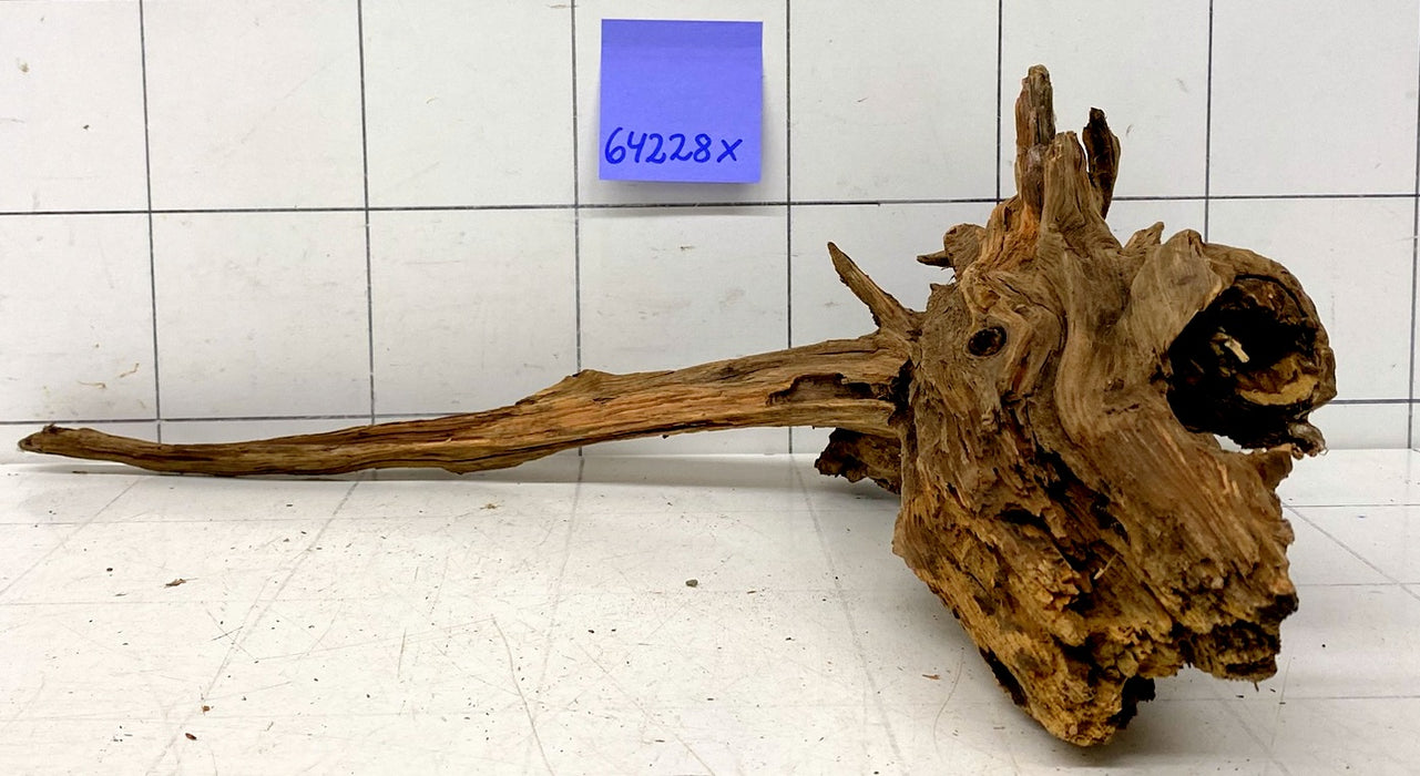 64228X - XINGU Wood Wurzelholz