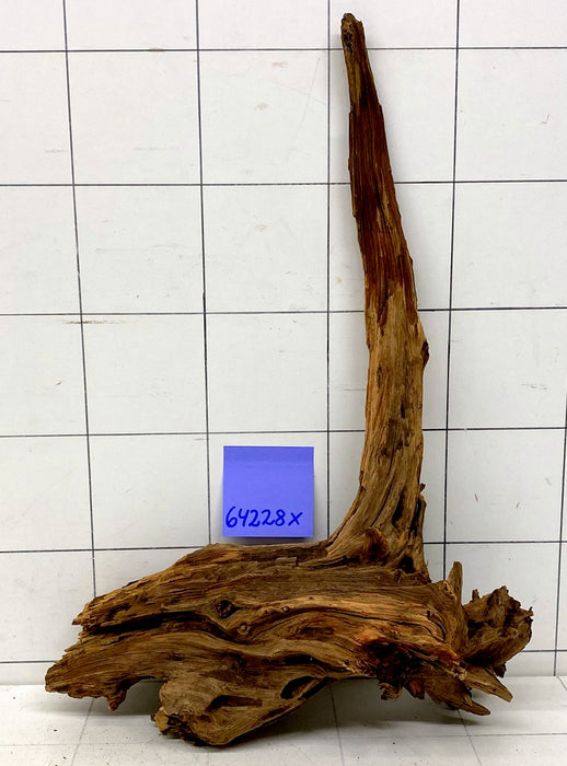 64228X - XINGU Wood Wurzelholz