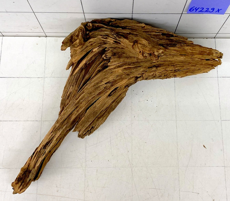 64229X - XINGU Wood Wurzelholz