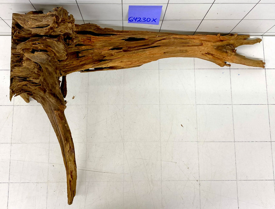 64230X - XINGU Wood Wurzelholz mit geschnittener Grundfläche